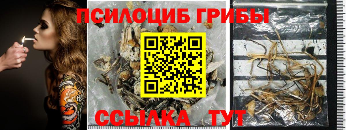 хочу наркоту  Галлюциногенные грибы Magic Shrooms  Вход с VPN  Краснодар 
